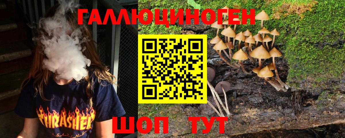 Псилоцибиновые грибы Psilocybe Ярцево